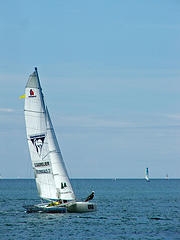Champion Catamaran